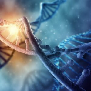 DNA-Neukodierung